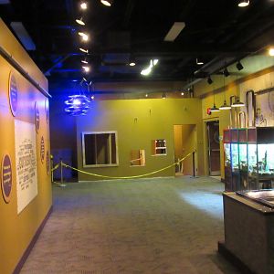 View of Curious Creatures addition 2/17/2018