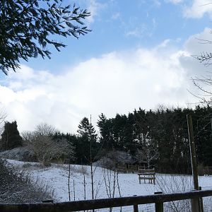 Zebra ski slope, 28 February 2018