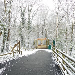 Lemur Wood, 28 February 2018