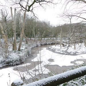 Orangutan islands, 28 February 2018