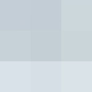 Malayan Tiger In The Snow