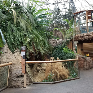 Dec. 2017 - Small Mammals - Reptile House - Atrium View
