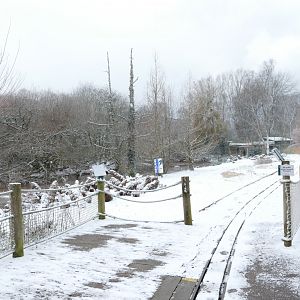 Snow on the line, 28 February 2018