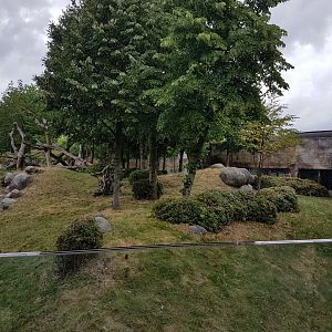 Part Gorilla-outdoor-enclosure