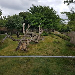 Another part of the Gorilla-outdoor-enclosure