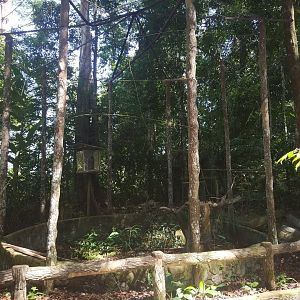 Rundown Enclosure - Tropical Garden