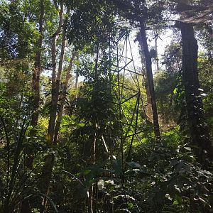 Tropical Garden Walkthrough Aviary - Support Structure