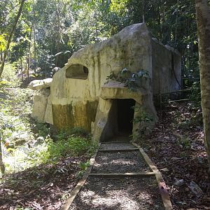 Concrete Structure  - Tropical Garden