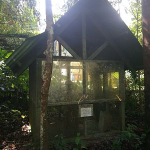 Empty Exhibit  - Tropical Garden