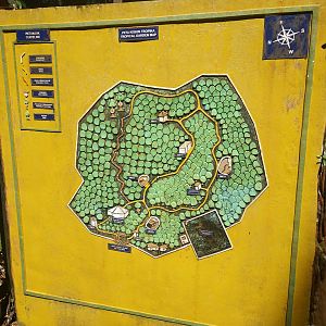 Map  - Tropical Garden