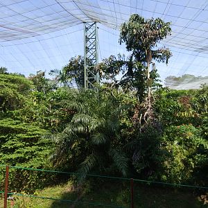 Walkthrough aviary