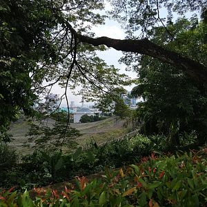 External view of the walkthrough aviaries