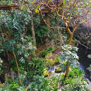 Pool at the lower end of the aviary