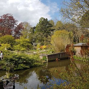 Small Chinese Garden