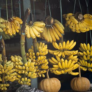 Banana stalls in front of zoo entrance