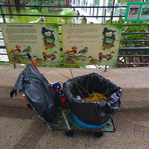 Kowloon Park - Waterfowl signage