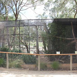 Woodland aviary