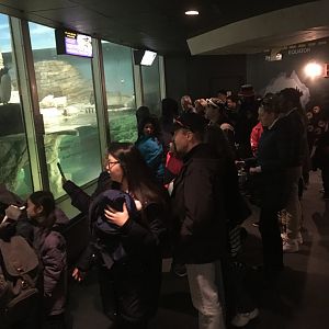 Why zoos should not have Free Days