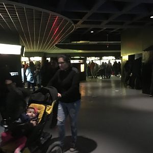 Why Zoos Should Not Have Free Days