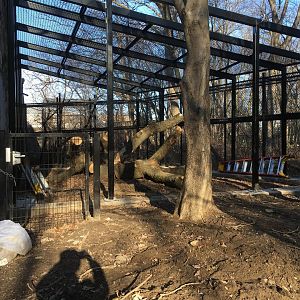 Primate Outdoor Exhibit Construction