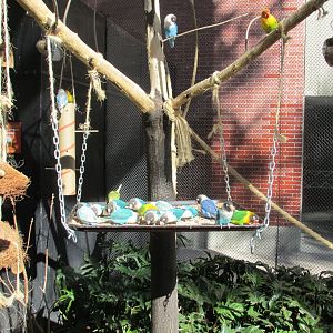 free flight aviary feeder