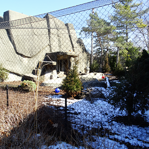 Mar. 2018 - Tiger Terrace - Dingo Exhibit