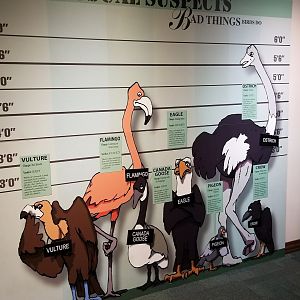 Mar. 2018 - Aviary - Bad Things Birds Do