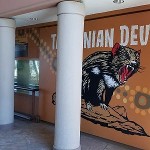 Mar. 2018 - Tembo Trail - Tasmanian Devil Exhibit