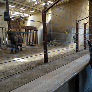 Mar. 2018 - Tembo Trail - Indoor Elephant Exhibit