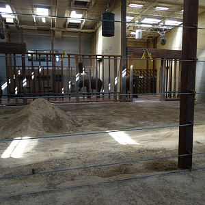 Mar. 2018 - Tembo Trail - Indoor Elephant Exhibit