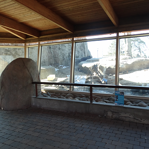 Mar. 2018 - Tembo Trail - Kodiak/Grizzly Bear Exhibit