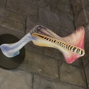 Mar. 2018 - Reptile House - Pteranodon Ingens