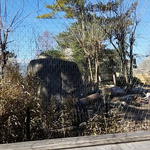 Mar. 2018 - Tiger Terrace - First Snow Leopard Exhibit