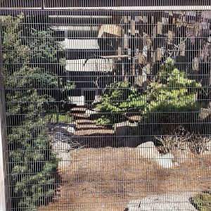 Mar. 2018 - Pheasantry - Laughing Kookaburra + Himalayan Monal Exhibit