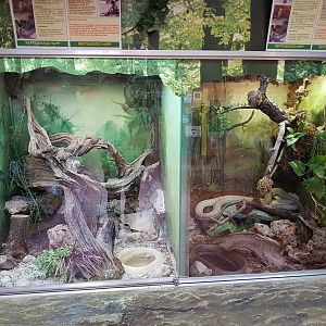 Reptilienzoo Happ