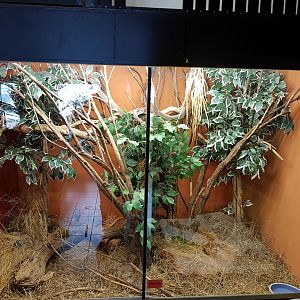 Reptilienzoo Nockalm