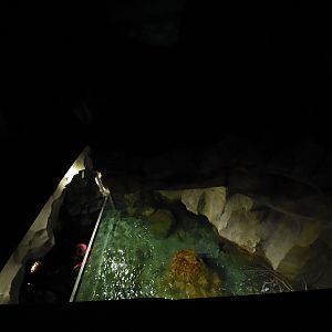 First tank from above