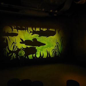 Education about Lake Chad