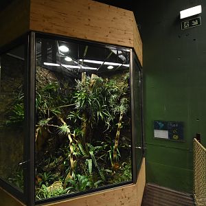 Mixed-species vivarium