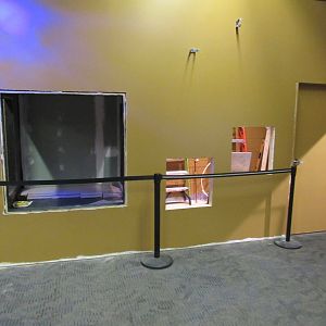 Curious Creatures Construction Update