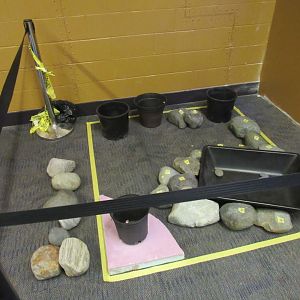 Curious Creatures Construction Update