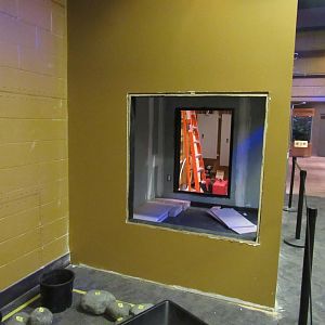 Curious Creatures Construction Update