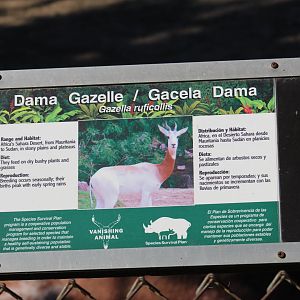 Addra Gazelle Signage