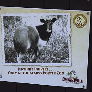 Jentink's Duiker Signage
