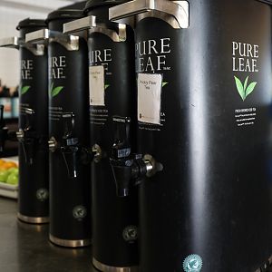 prickly pear cactus iced tea