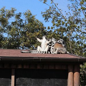 Conducting in the sunlight