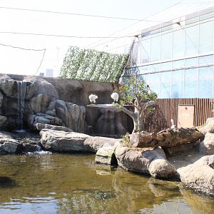 African wetland exhibit