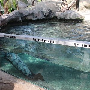 At least better than China......