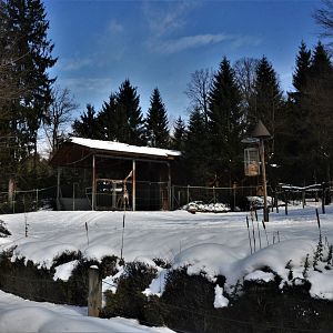 Giraffe House and Paddock at Ljubljana Zoo, 07/03/18