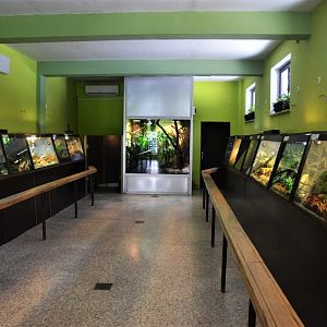 Vivarium Interior at Ljubljana Zoo, 07/03/18